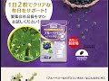 ブルーベリー＆メグスリノ木EX・価格・購入・通販・口コミ・効果・評判・眼精疲労・膀胱炎