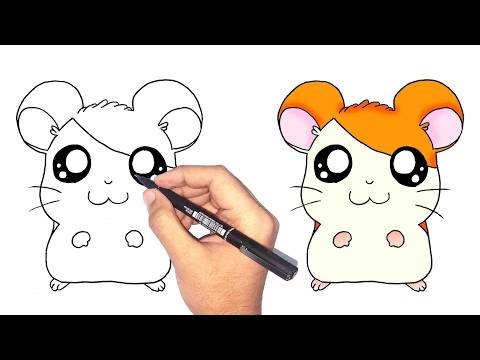 فيديو: كيفية رسم الهامستر بقلم رصاص