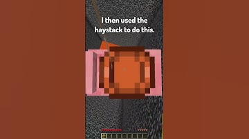 Thumbnail of Can I Escape this Weird Minecraft Prison?