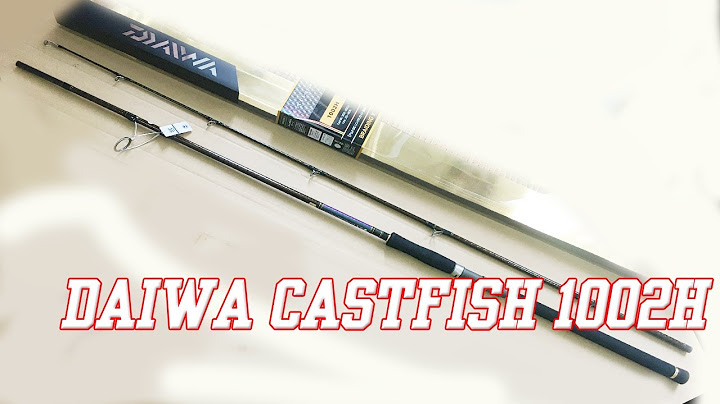 So sánh giá cần daiwa phantom catfish