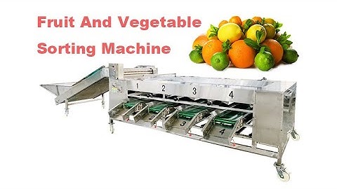 Vegetable Grader Machine | Vegetable Sorter Machine | Onion Sorter Machine | Apple Grader Machine