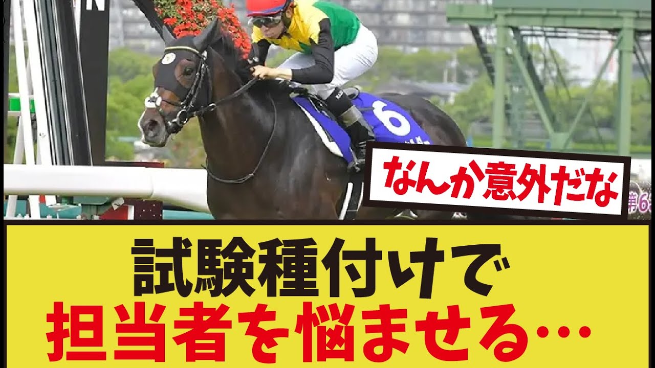 「種牡馬の種付け関連のエピソードが面白すぎる」に対するみんなの反応集