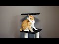 83657 キャットタワー 40×40×140cm
