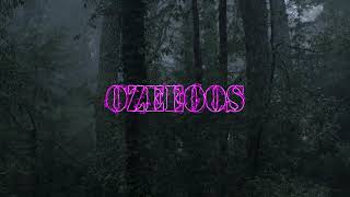 ม้านิลมังกร – OZEEOOS (prod. Hvrtzlab)