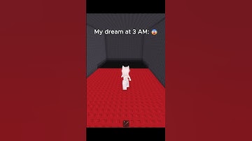 My dream at 3 AM 😂 #stealabrainrot #roblox #usa