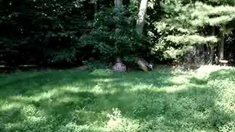 MacDev Droid - Uncapped Ramping (Qloader)