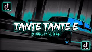 Dj Tante Tante Ee - Slowed \u0026 Reverd 🎧🎶