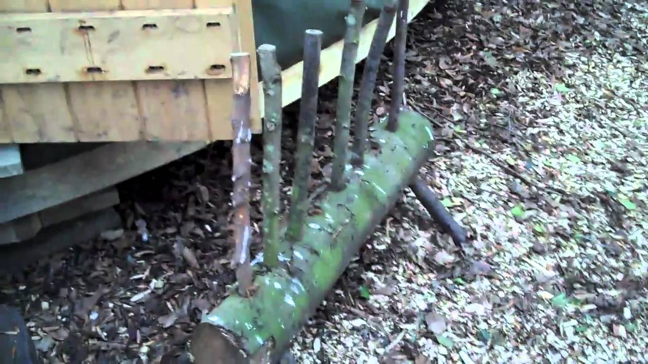 Tour of Little Owl Yurt at Wowo Campsite YouTube