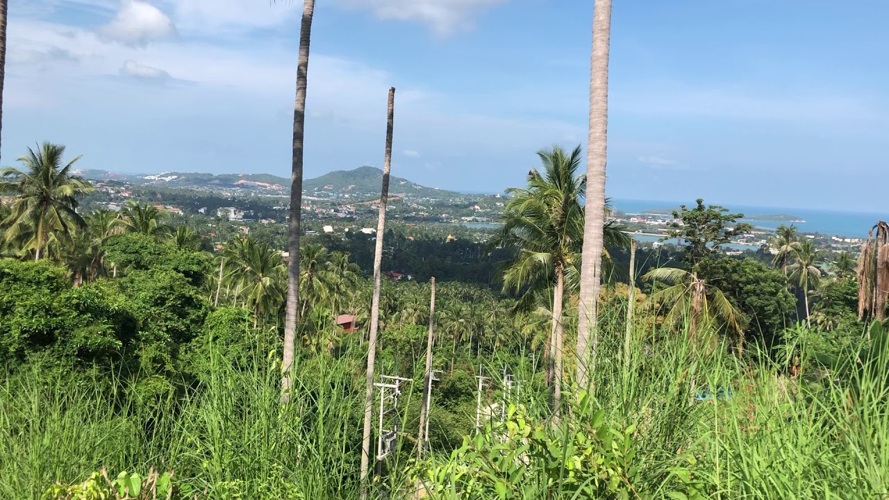 Amazing Sea View Land (1-13 Plots) - Chaweng - Koh Samui - for sale