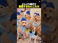 おそろい姿が可愛すぎる