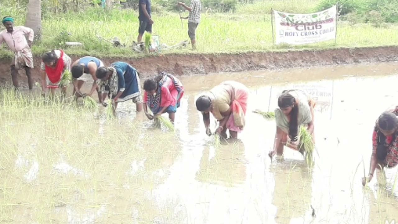 World Earth Day celebration on 22.04.2022