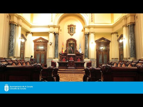Sesión ordinaria de tarde do Pleno do Concello da Coruña - 07/07/2022