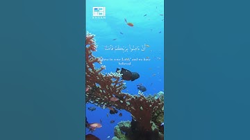 #ماهر_المعيقلي سورة آل عمران الآية 193