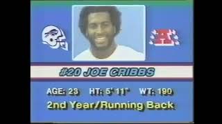 1981 - AFC Divisional - Buffalo Bills at Cincinnati Bengals