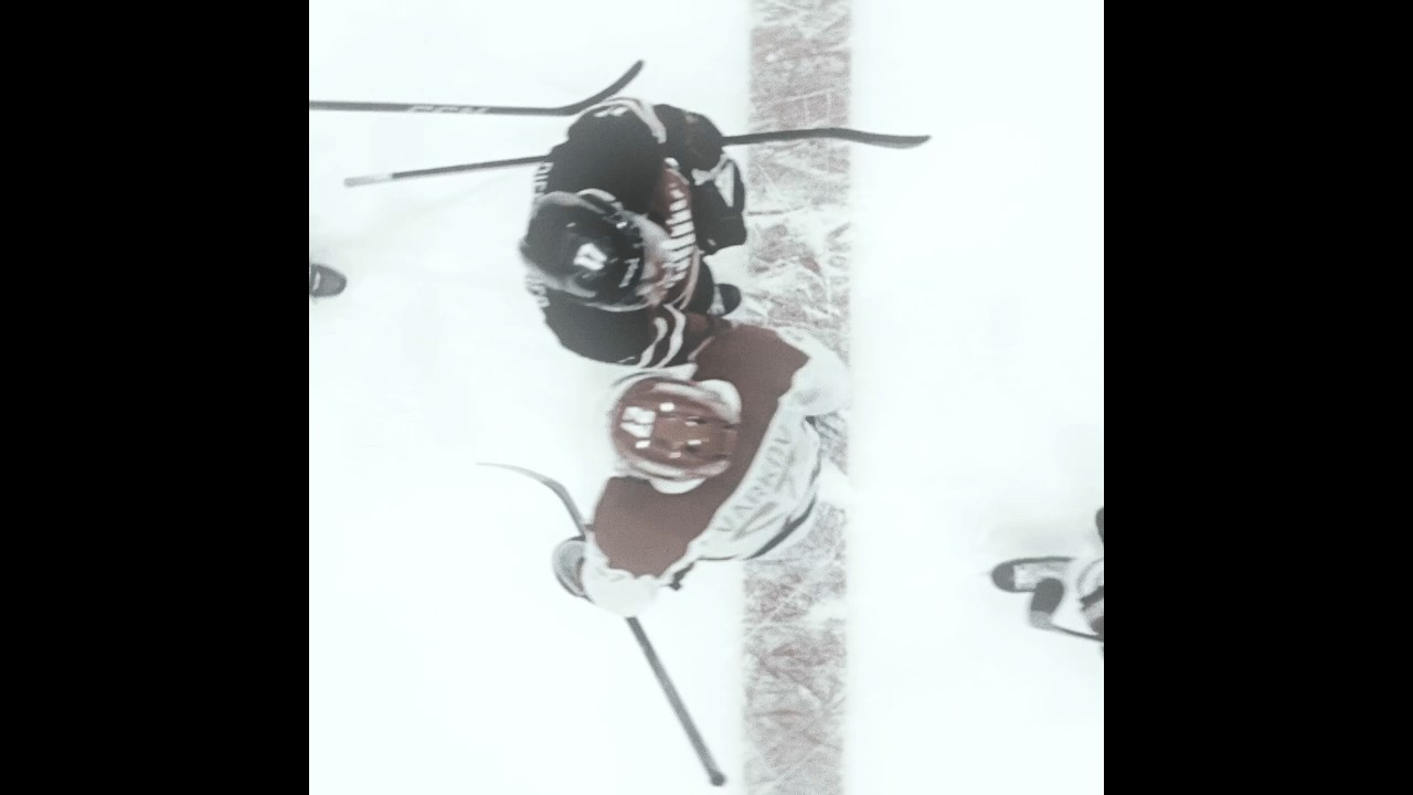 Вы видите эту картину? Напряженное соперничество: Илья Розанов и Шейн Холландер 