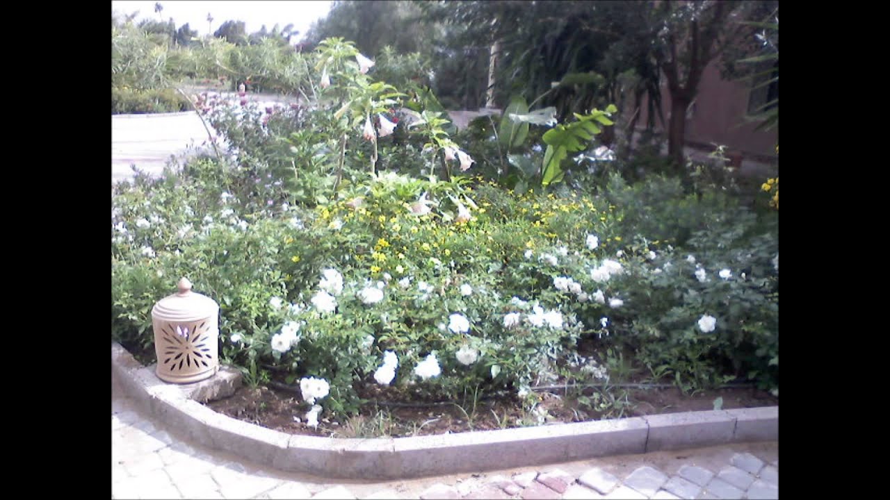 GREEN CONSULTING : POLE ESPACES VERTS