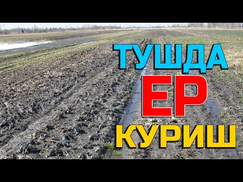 Туш табири -