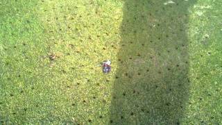 Patterson fairway aeration 2010