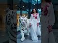 “Fearless queen with a lion 🦁✨”“Jungle ki rani aur uska sher 🔥”“Power. Grace. AI Magic. ✨”