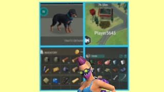 “5645” raid player, with “True friend dog “ Ldoe .