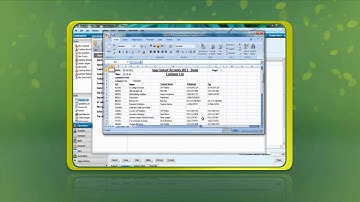 Microsoft Excel Integration of Sage Instant Accounts 2013