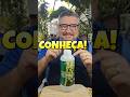 ÓLEO DE NEEM CONCENTRADO PURO CONHEÇA OS BENEFÍCIOS #plantas #jardim #mudas #pragas