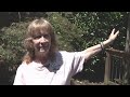 Documentary explores fascinating world of bats
