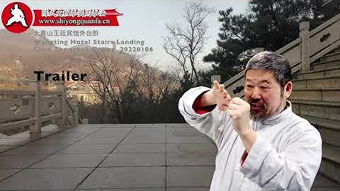 Trailer-Chen Zhonghua Online 20220106