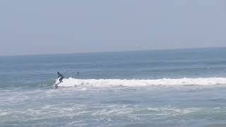 20240518 Surfing