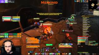 Feral Druid - Priest Ownage