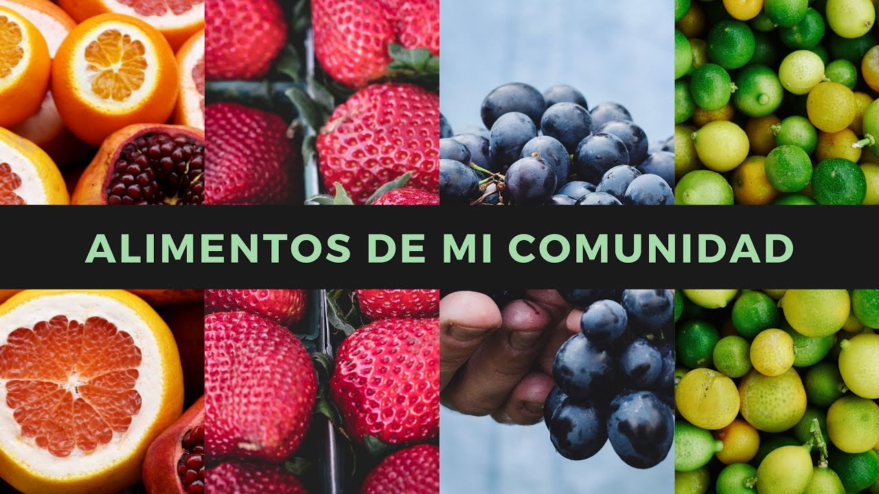 Alimentos de mi comunidad (CM: Primer Grado) - YouTube