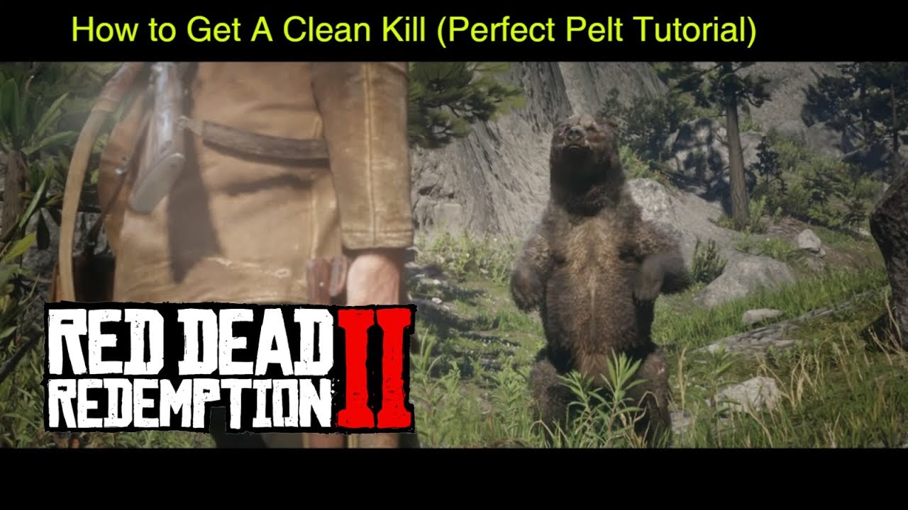 Perfect Buck Pelt Rdr2 Red Dead Redemption 2: How To Get A Perfect Pelt Without Damaging It ...