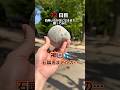 【神回】石をこの動画のいいね!の数だけ蹴ってみた。12日目#石蹴男