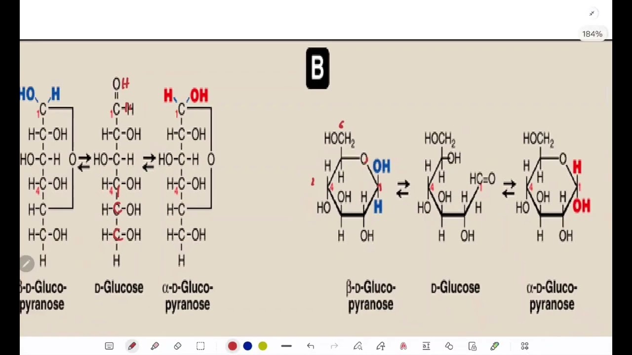 كيمياء حيوية  جامعة الامام CH1  PART2