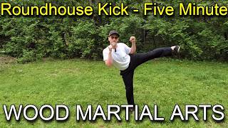 Roundhouse Kick -  Five Minute
