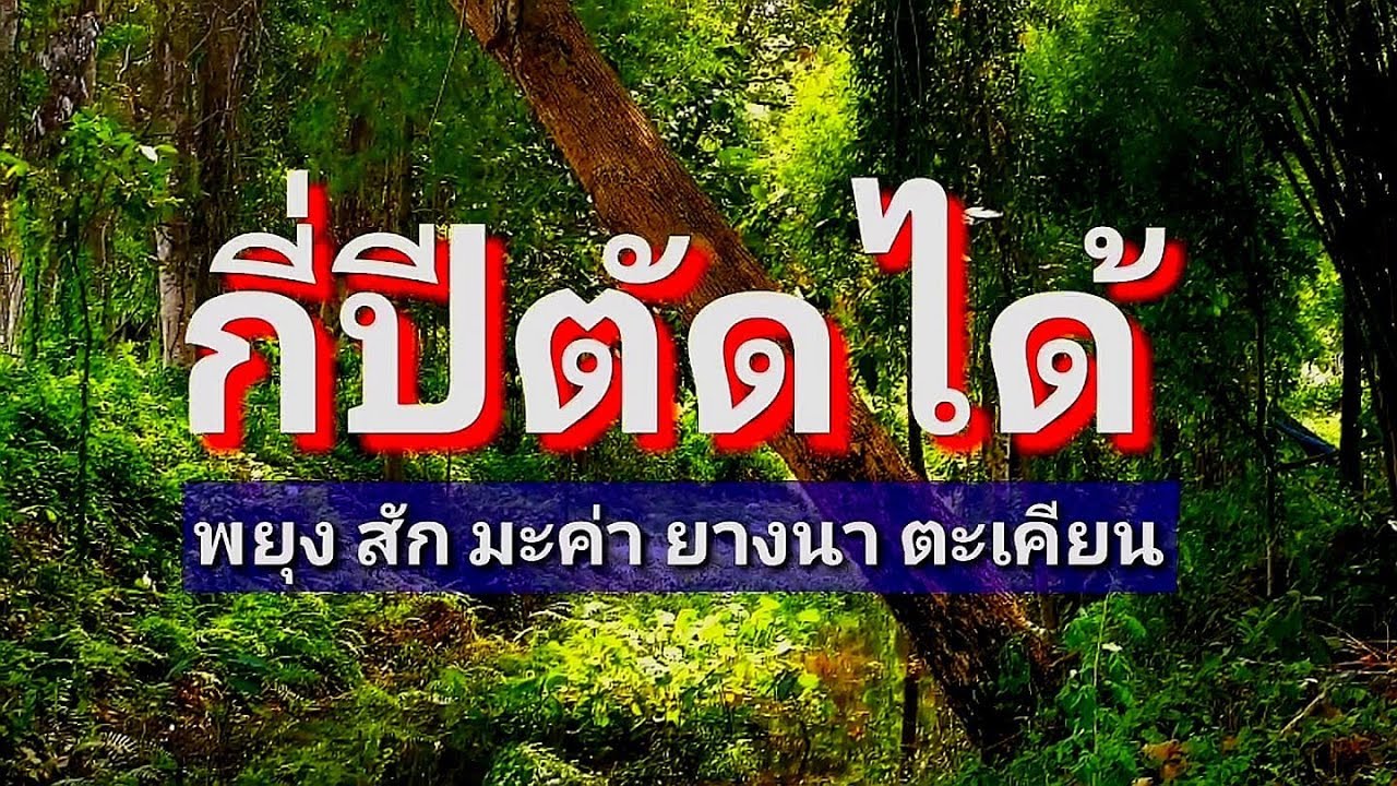 พยุง สัก ยางนา ตะเคียน กี่ปีตัดขายได้ ep69