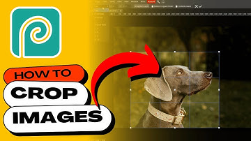 How to CROP Images in PHOTOPEA