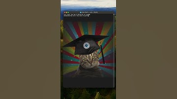 Bikin Bar Chart Terminal pakai PYTHON dalam 1 Menit! ⚡️🔥 #coding #python #dataviz #ngoding