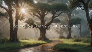 Soothing Rainy Sunrise Sounds | ASMR | Meditation 432hz