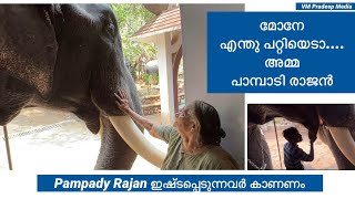 മോനേ എന്തു പറ്റിയെടാ അമ്മ Pampady Rajan#keralaelephant#vmpradeepmedia#anakatha#elephantstories