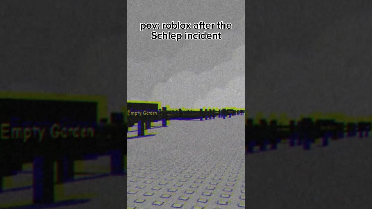 the Schlep incident || 