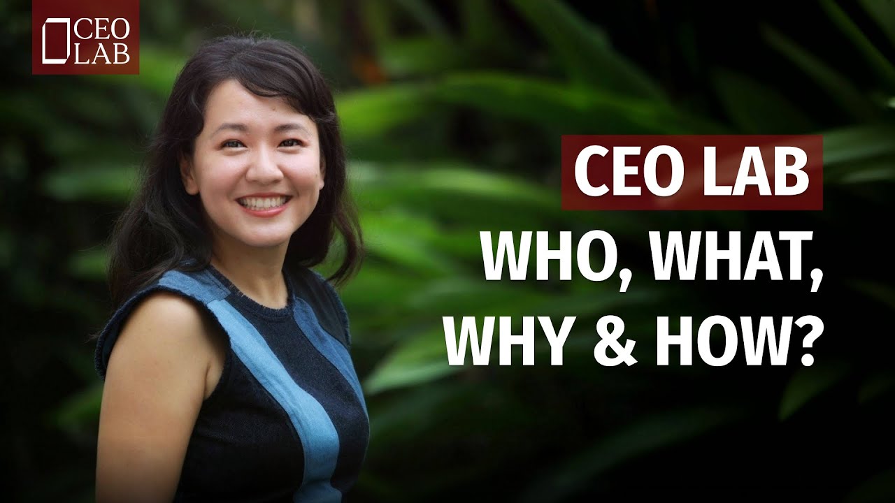 Outline Video CEO LAB - Who, What, Why & How?