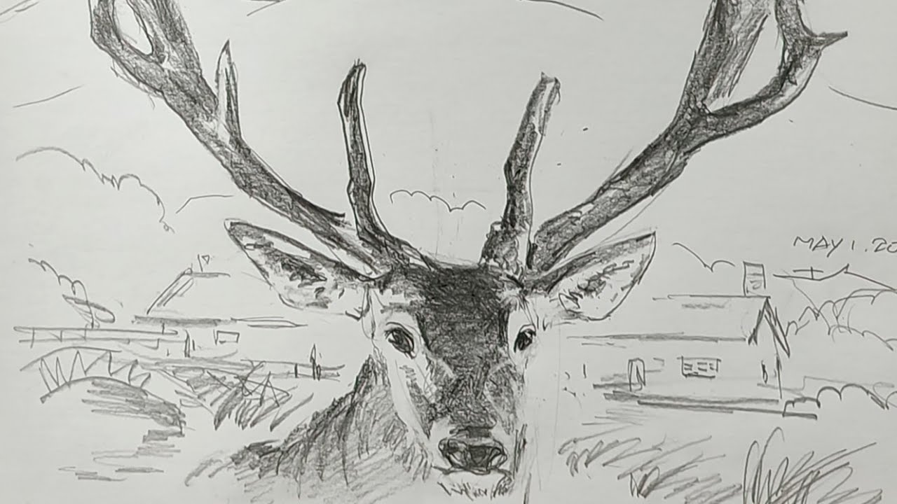土人教画】651 土人老师素描画《家后院的小鹿》terrain art class