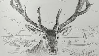 土人教画】651 土人老师素描画《家后院的小鹿》terrain art class