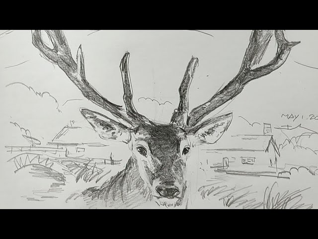 土人教画】651 土人老师素描画《家后院的小鹿》terrain art class