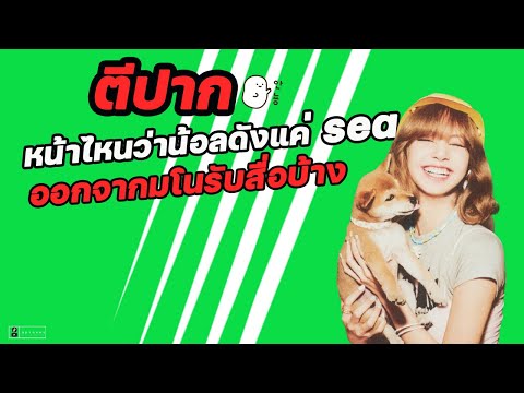 ตีปาก ! หน้าไหนบอก Solo Lisa ดังแค่ sea ออกจากมโนแล้วรับสื่อบ้าง