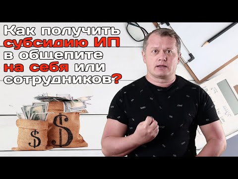 Как получить субсидию ИП в общепите на себя или сотрудников?