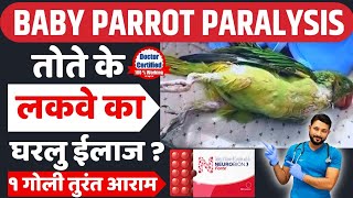 Baby Parrot  Paralysis Treatment At Home | तोते के लकवे का घरेलू उपचार  | Tote ke lakwe ka ilaaj