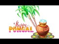 தமிழர் திருநாள்  நல்வாழ்துகள்