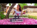 Ayşe Isparda&#39;da | Gülden Gelen Güzellik, Gülün Şifası ve Enerjisi | Bihter Türkan Ergül ile